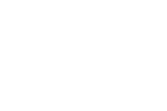#06